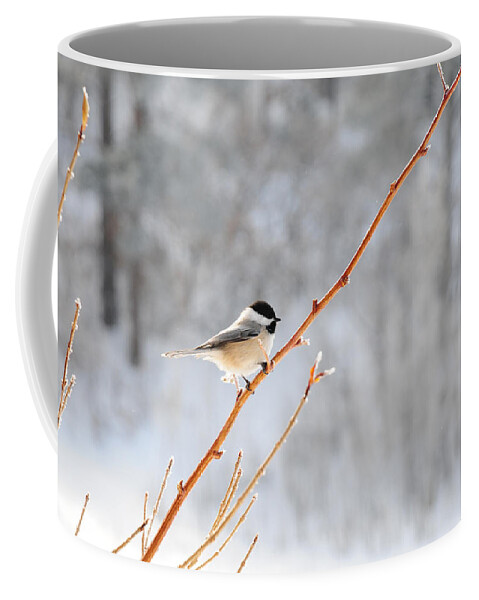 Chickadee Bird Winter Feathers Coffee Mug featuring the photograph Chickadee by Susie Rieple