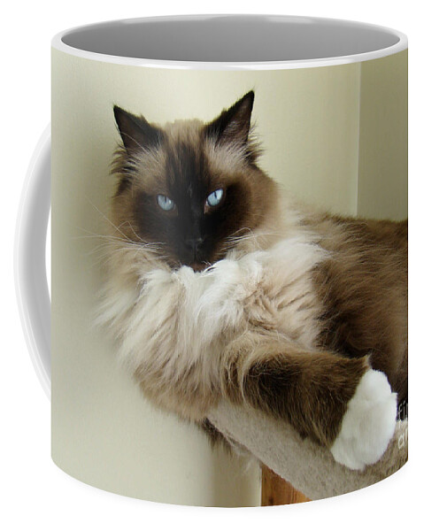 Cat Coffee Mug featuring the photograph Chilling by Nancy L Marshall