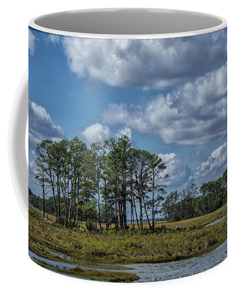 Ponies Coffee Mug featuring the photograph Chincoteague Ponies by Erika Fawcett