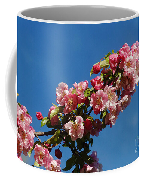 Nature Coffee Mug featuring the photograph Chinese Apple 2 by Rudi Prott