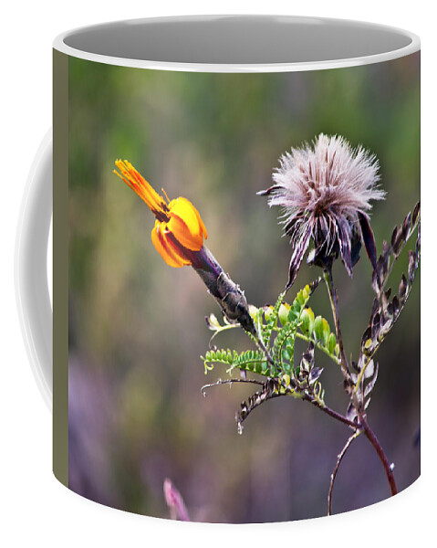 Chivay Coffee Mug featuring the photograph Chivay Flower by Kent Nancollas
