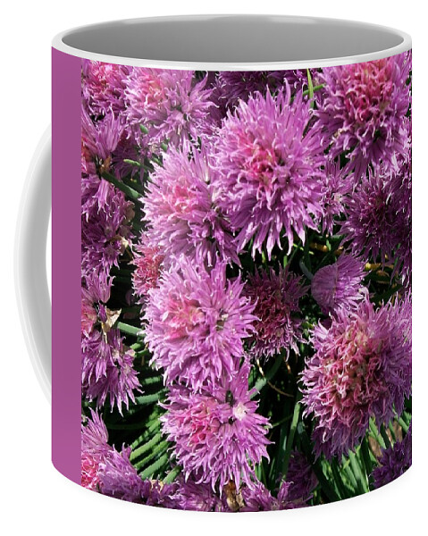 Healthy Coffee Mug featuring the photograph Chive Flower's by Sharon Duguay
