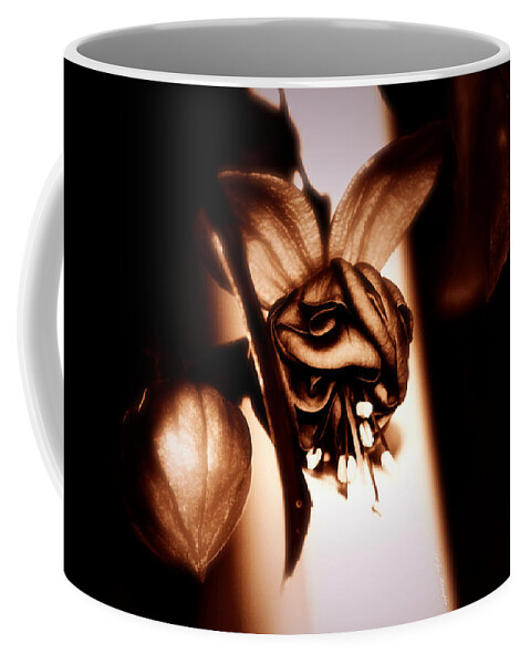 Flower Coffee Mug featuring the photograph Chocolate Silk Fuchsia by Jeanette C Landstrom