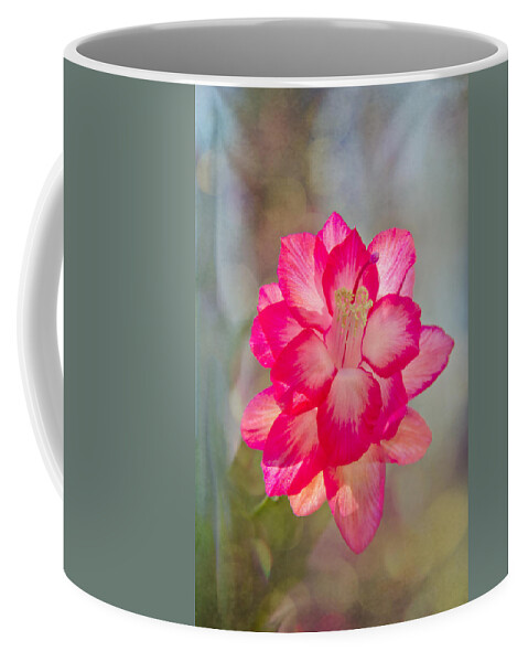 Jemmy Archer Coffee Mug featuring the photograph Christmas Cactus Bokeh by Jemmy Archer