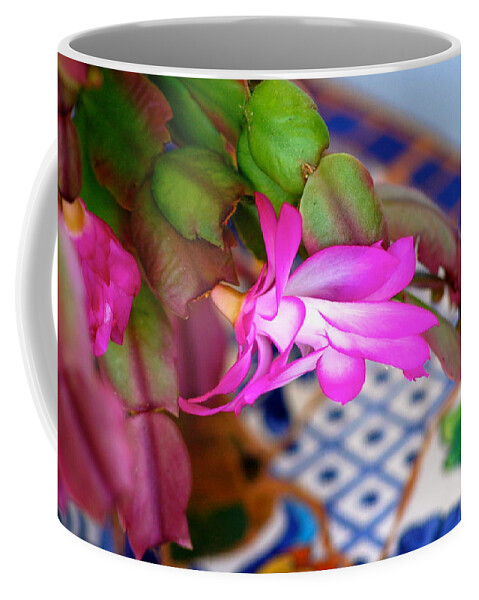Plants Coffee Mug featuring the photograph Christmas Cactus by Lehua Pekelo-Stearns