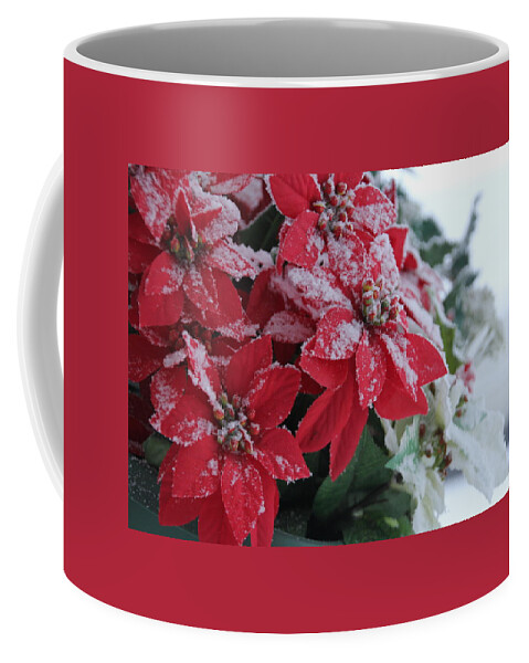 Poinsettia Coffee Mug featuring the photograph Christmas Poinsettia Flowers by Valerie Collins