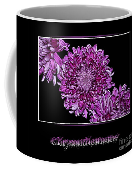 Photography Coffee Mug featuring the photograph Chrysanthemums on Black by Kaye Menner