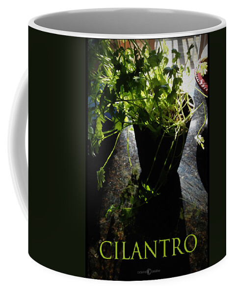 Cilantro Coffee Mug featuring the photograph Cilantro by Tim Nyberg
