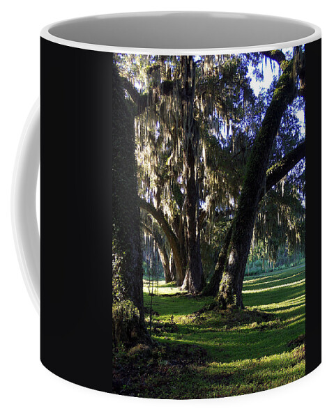Oak Tree Coffee Mug featuring the photograph Circle B Bar by Christopher Mercer