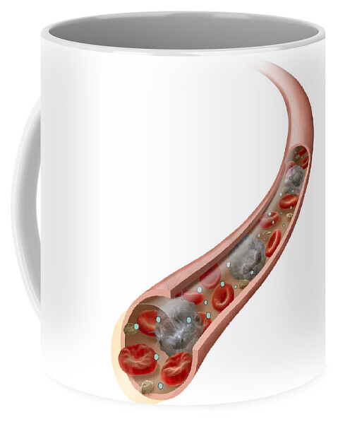 Action Of Hormones Coffee Mug featuring the photograph Circulatory System, Illustration by QA International
