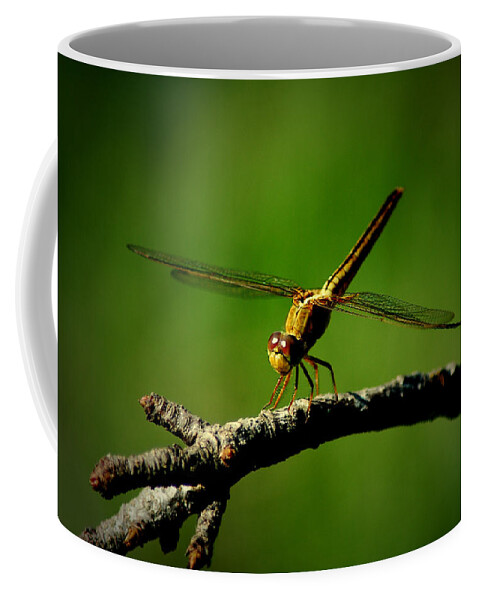 Dragonfly Coffee Mug featuring the photograph Clear For Takeoff by David Weeks
