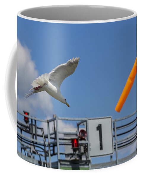 Seagull Coffee Mug featuring the photograph Cleared for landing by Scott Campbell