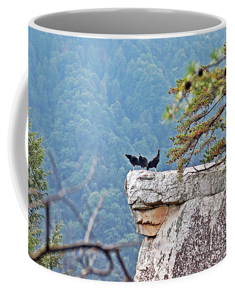 Bird Coffee Mug featuring the photograph Cliff Hanging by Aimee L Maher ALM GALLERY