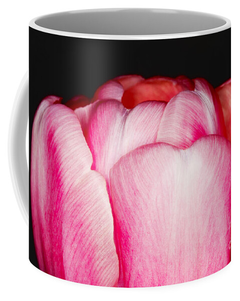 Close-up Coffee Mug featuring the photograph Close-up of a pink tulip by Nick Biemans