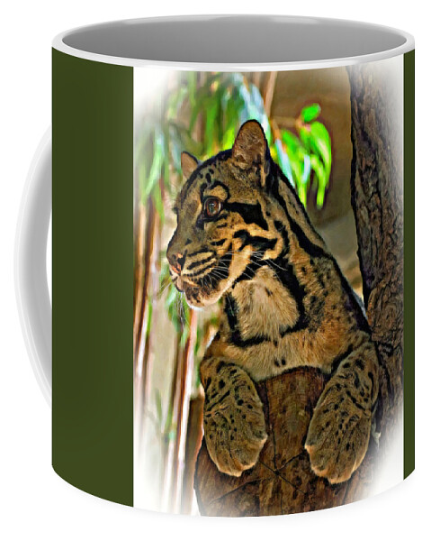 Clouded Leopard Coffee Mug featuring the photograph Clouded Leopard oil by Steve Harrington