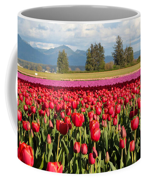 Tulips Coffee Mug featuring the photograph Clouds Mountains and Tulips by Carol Groenen