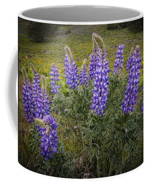 Color Coffee Mug featuring the photograph Clump of Lupine by Jean Noren