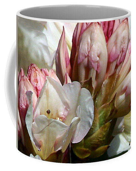 Rhodie Coffee Mug featuring the photograph Coast Rhododendron by Pamela Patch