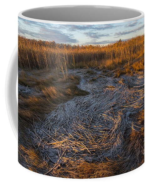 Connecticut Coffee Mug featuring the photograph Coast - Warmth Along the Wrackline by JG Coleman