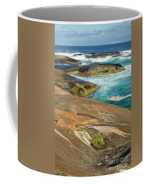 00463486 Coffee Mug featuring the photograph Coastal Rocks Along William Bay by Yva Momatiuk John Eastcott