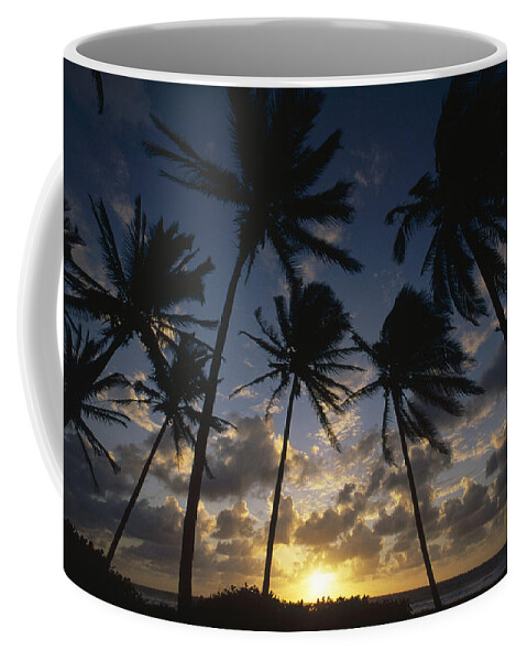 Feb0514 Coffee Mug featuring the photograph Coconut Palm Trees At Sunrise St by Gerry Ellis