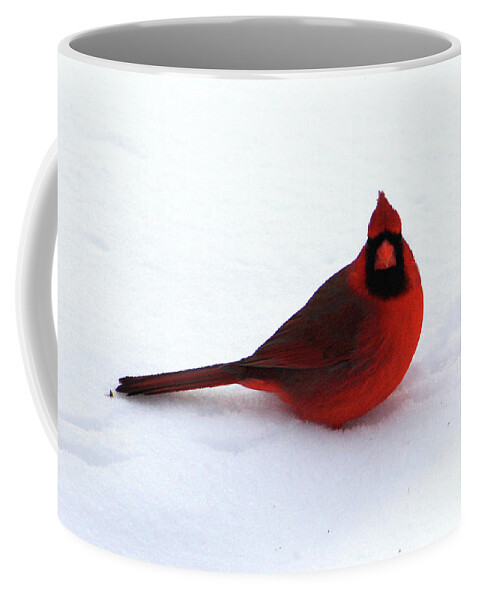 Cardinal Coffee Mug featuring the photograph Cold Seat by Alyce Taylor