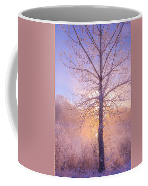 Fog Coffee Mug featuring the photograph Cold Winter Morning by Darren White