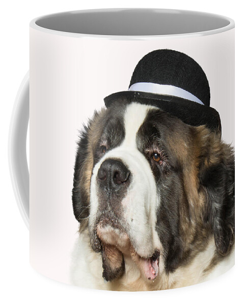 Wall Art Coffee Mug featuring the photograph Cole the St Bernard by Ron Roberts