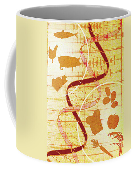 Advancement Coffee Mug featuring the photograph Collage Of Animals, Food And Dna Helix by Ikon Ikon Images