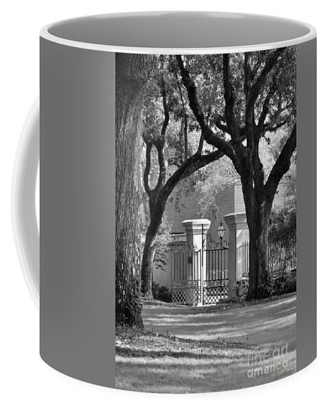 History Coffee Mug featuring the photograph College of Charleston Gate by Susan Cliett