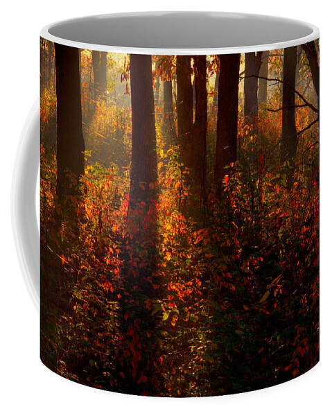 2008 Coffee Mug featuring the photograph Color on the Forest Floor by Robert Charity