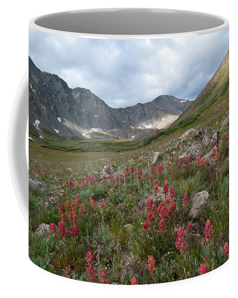 Landscape Coffee Mug featuring the photograph Colorado Early Morning Summer Landscape with Gray's Peak by Cascade Colors