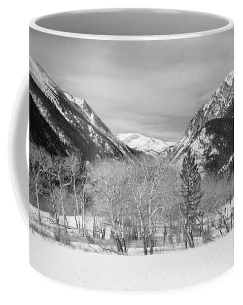 Trees Coffee Mug featuring the photograph Colorado Rocky Mountain Winter Horseshoe Park BW by James BO Insogna