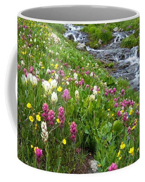 Wildflower Coffee Mug featuring the photograph Colorado Wildflower Meadow and Stream by Cascade Colors