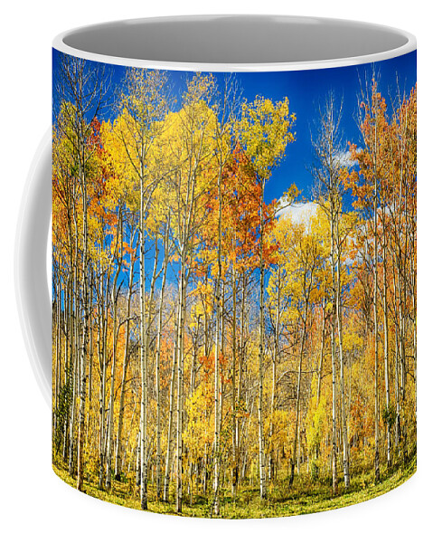 Aspen Coffee Mug featuring the photograph Colorful Colorado Autumn Aspen Trees by James BO Insogna