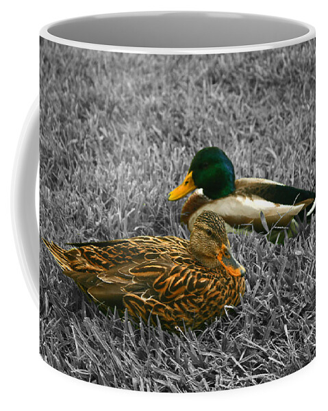 Duck Coffee Mug featuring the photograph Colorful Ducks by Michael Porchik