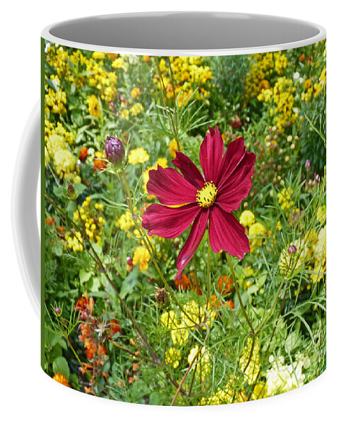 Flower Meadow Coffee Mug featuring the photograph Colorful flower meadow with great red blossom by Eva-Maria Di Bella
