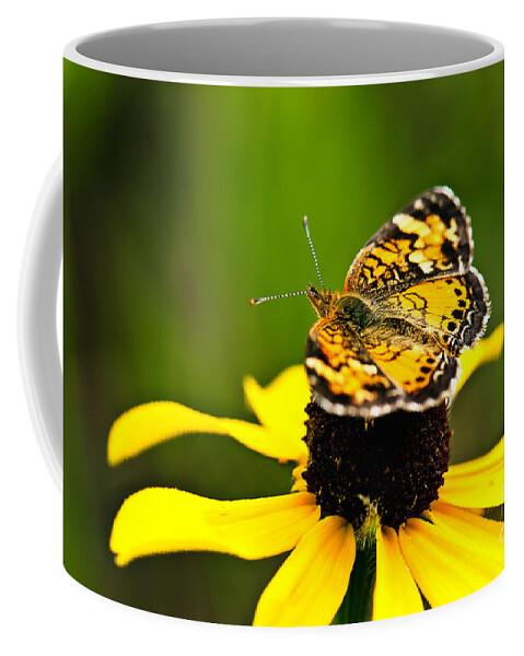Photography Coffee Mug featuring the photograph Colorful Landing by Gwen Gibson