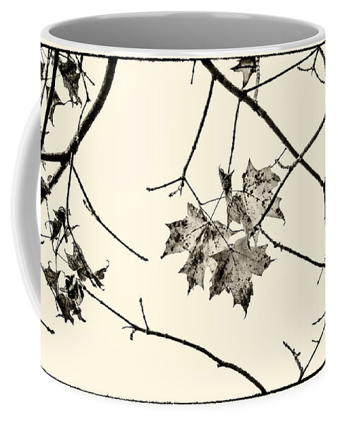 Colorless Autumn Coffee Mug featuring the photograph Colorless Autumn by Karol Livote