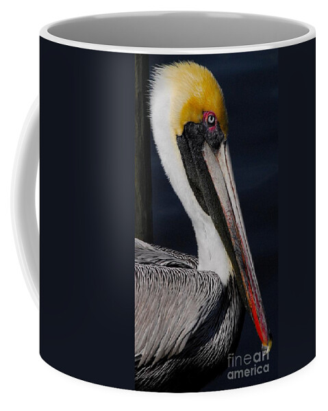 Pelican Coffee Mug featuring the photograph Colors of a Pelican by Quinn Sedam
