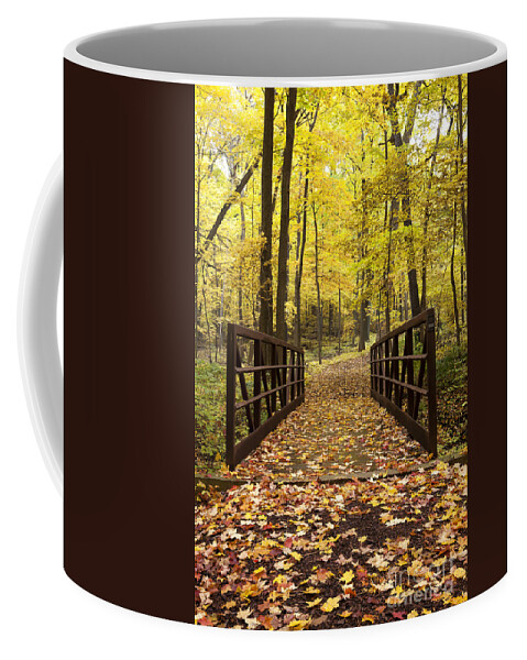 Autumn Trees Coffee Mug featuring the photograph Colors of Fall by Patty Colabuono