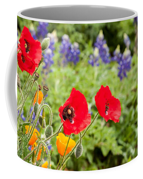 Bluebonnets Coffee Mug featuring the photograph Colors of Spring by Melinda Ledsome