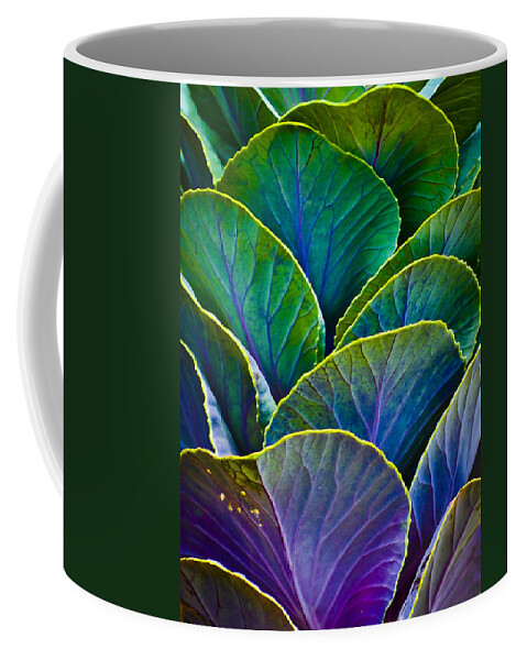 Organic Coffee Mug featuring the photograph Colors of the Cabbage Patch by Christi Kraft