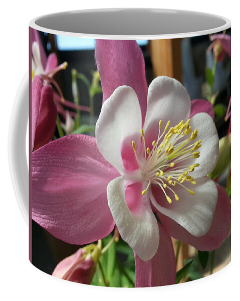 Rose Coffee Mug featuring the photograph Columbine by Caryl J Bohn