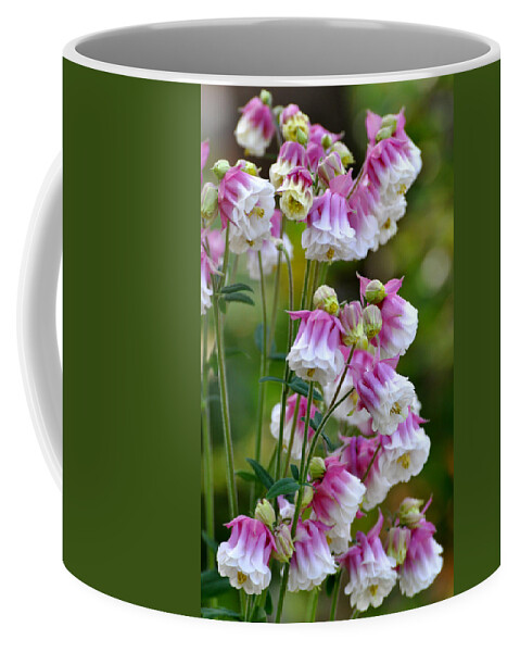Flower Coffee Mug featuring the painting Columbine by Gail Butler