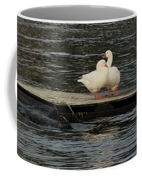 Rainbow White Geese Coffee Mug featuring the photograph Come Closer My Love by E Faithe Lester