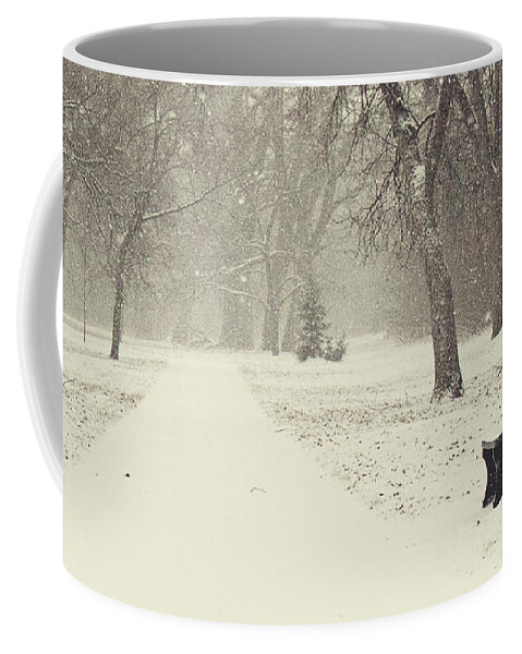 Park Coffee Mug featuring the photograph Come Sit by Pam Holdsworth