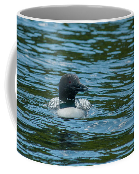 Birds Coffee Mug featuring the photograph Common Loon by Brenda Jacobs
