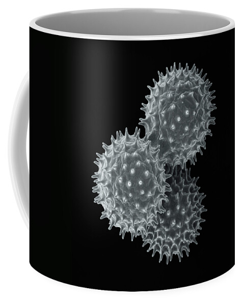 00780197 Coffee Mug featuring the photograph Common Morning Glory Pollen SEM by Albert Lleal
