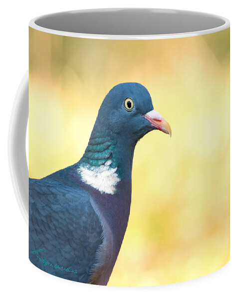 Common Wood Pigeon Coffee Mug featuring the photograph Common Wood Pigeon by Torbjorn Swenelius